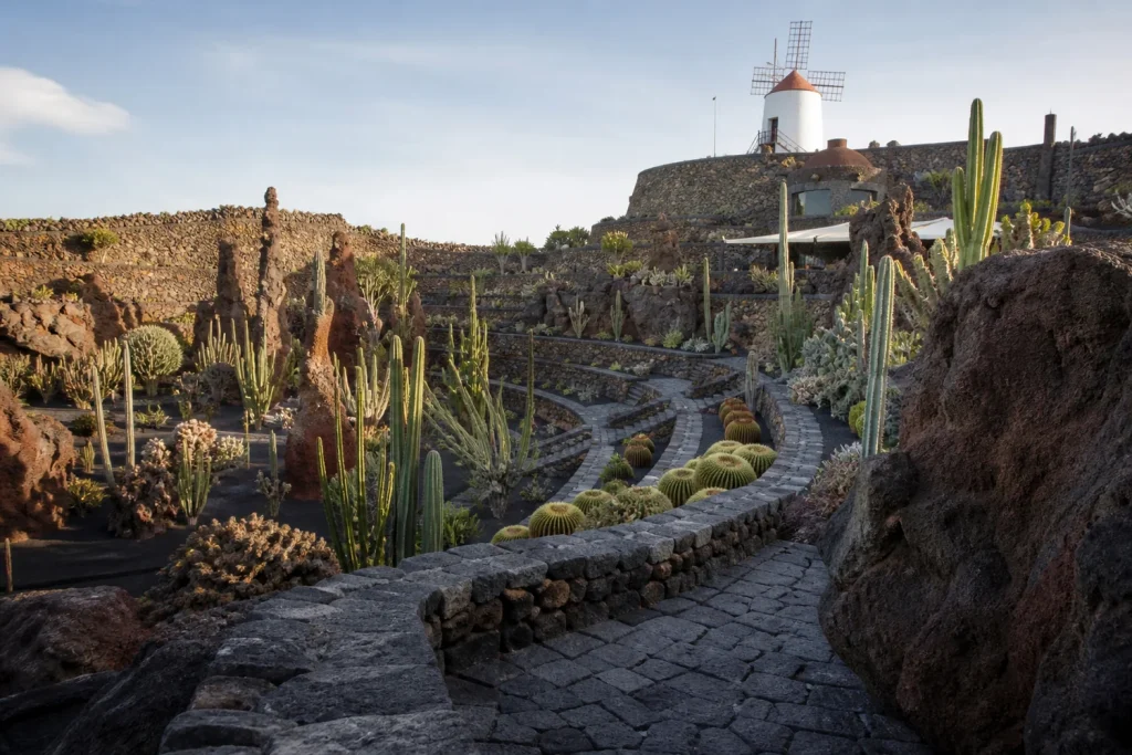 Jardín de Cactus terraces in Guatiza, Lanzarote
