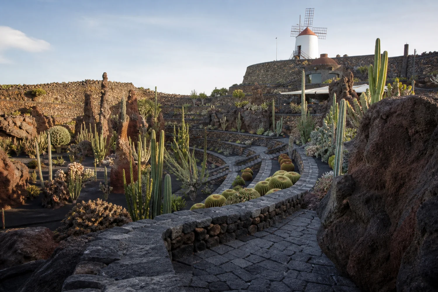 Jardín de Cactus terraces in Guatiza, Lanzarote